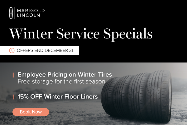 15% OFF Winter Floor Liners