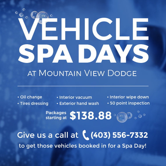 Vehicle Spa Day Vehicle Spa Day