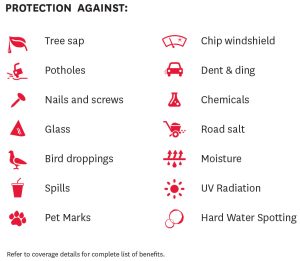 Honda Protection
