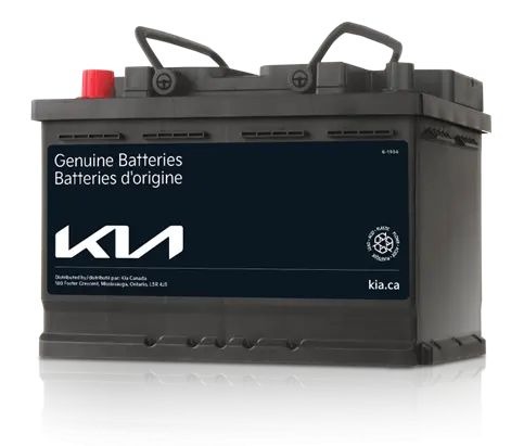 imgi_1_battery_2025011743792259351