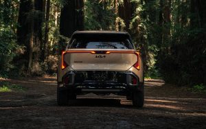 2027 Brown Kia Seltos