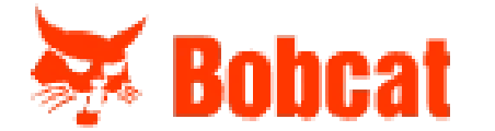 bobcat