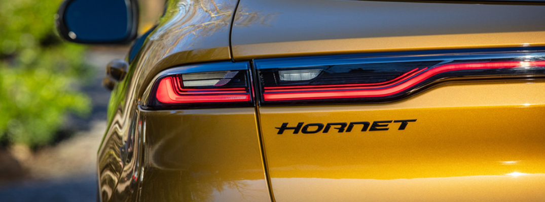 2025 Hornet close-up