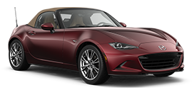 2025 35th Anniversary Edition