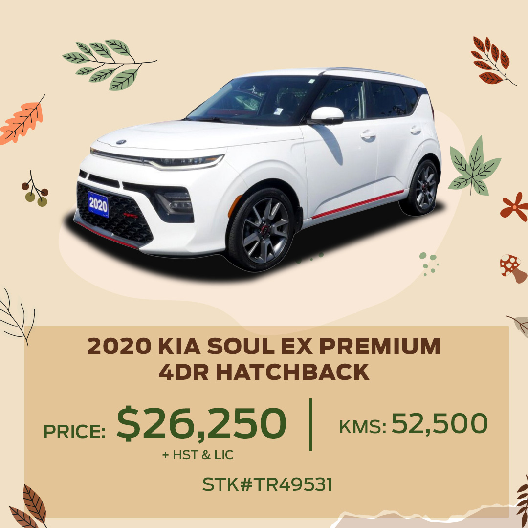 Used Vehicle Offers Windsor Ford Dealer Performance Ford