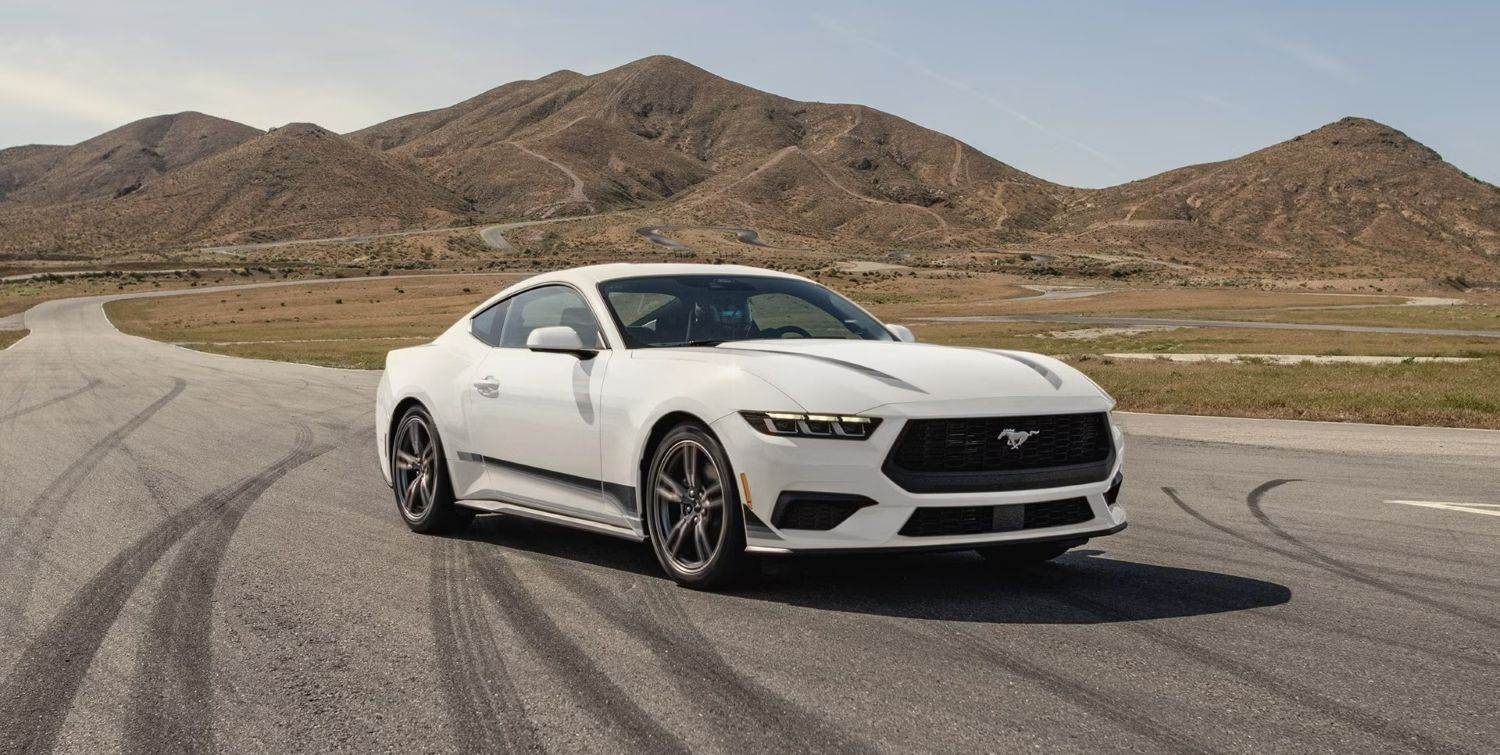 Special Editions & Styling