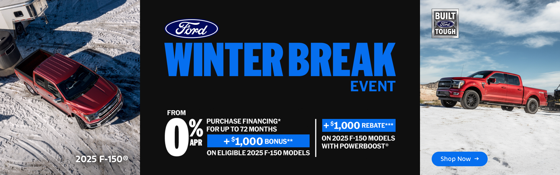 FordDealers-GlobalBannerResizingx2-D1-F150-V1