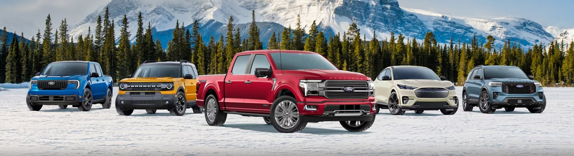 Ford vehicles parked on snowy terrrain