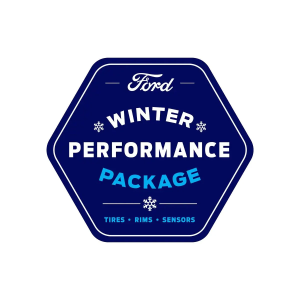 Ford Seasonal TIres