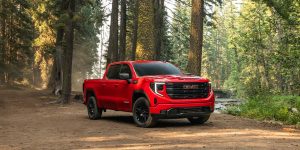 2026 GMC Sierra 1500 in Grand Falls-Windsor, NL