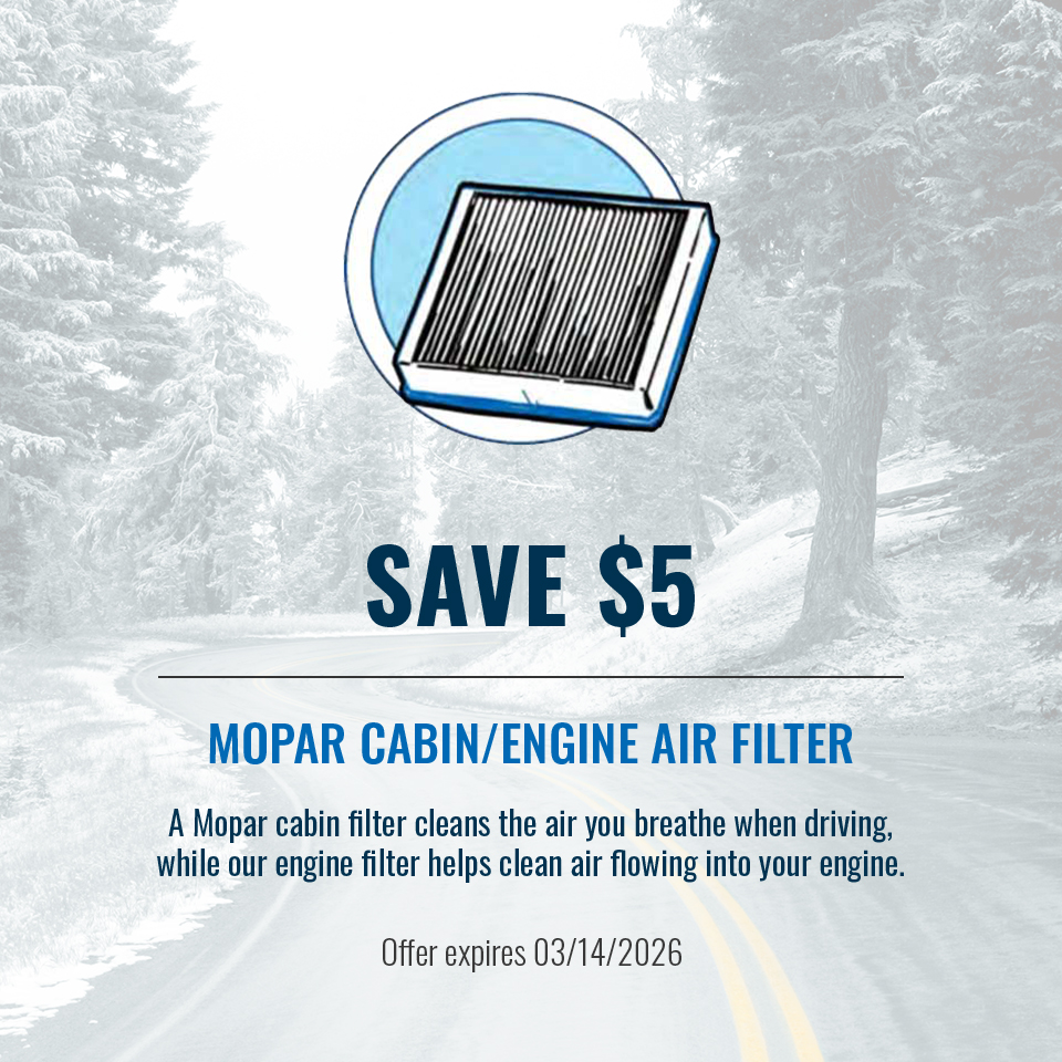 Mopar Cabin/Air Engine Filter