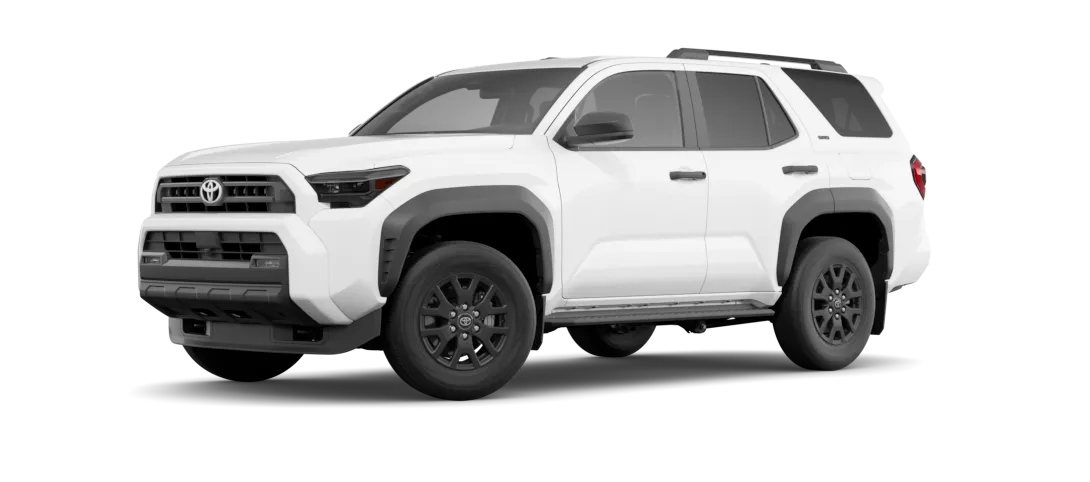 4Runner trim