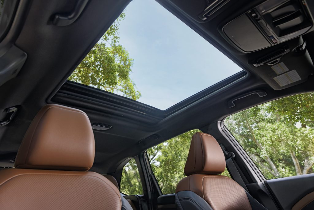 Interior view of the 2026 Subaru Forester showing brown front seats and a large open panoramic sunroof looking up at the trees and sky.