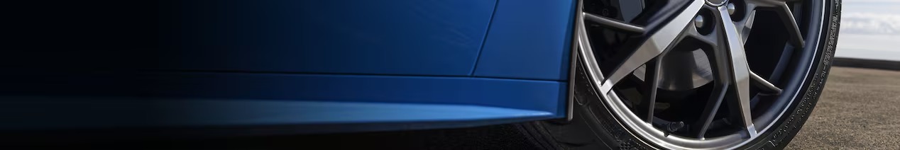 imgi_10_cs-cdn-corvette-performance-tire-large