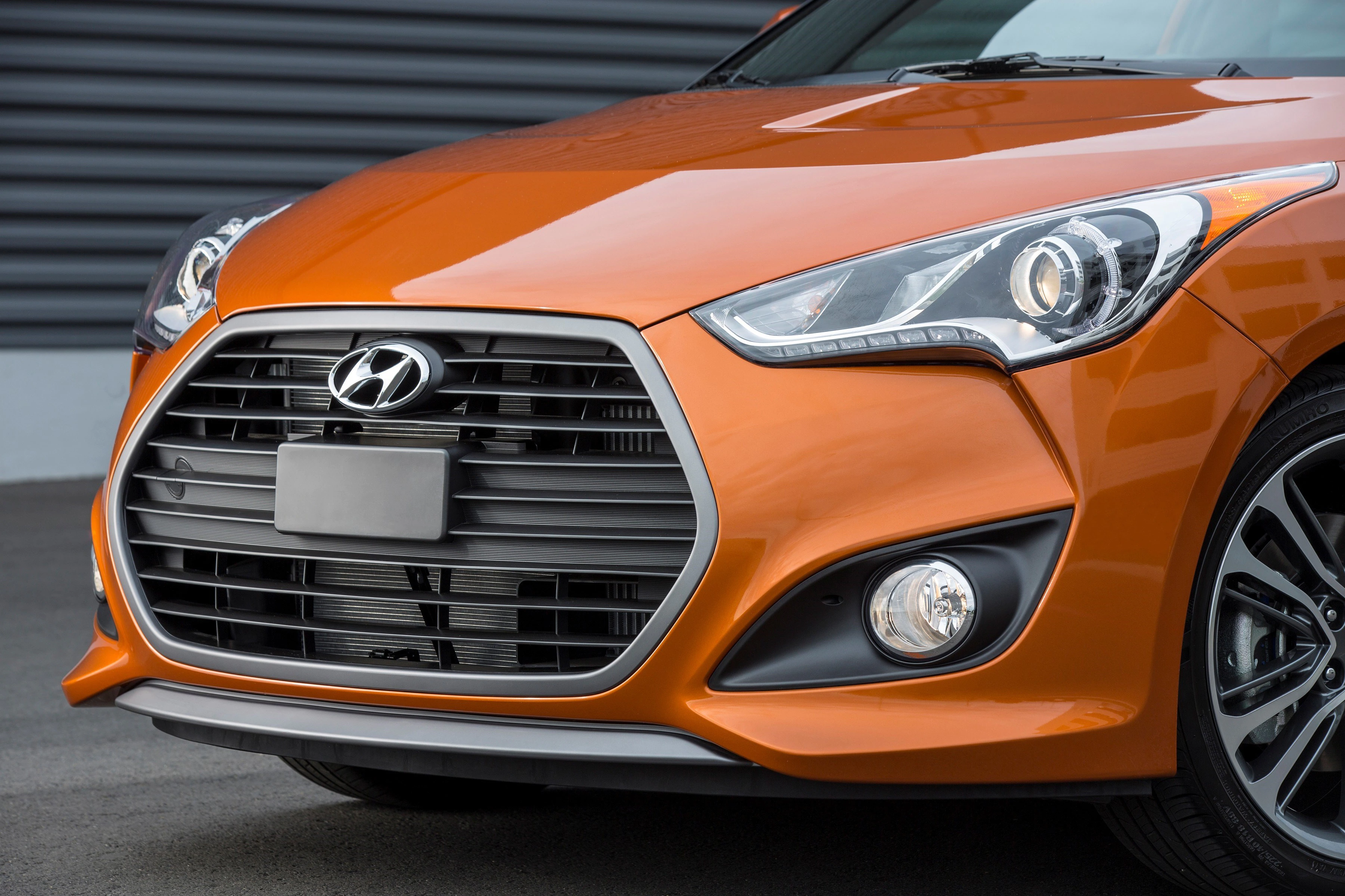 Detailed Cosmetic Reconditioning