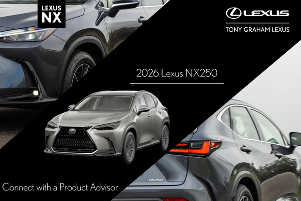 2026 Lexus NX250 in silver showcased at Tony Graham Lexus Ottawa, highlighting its bold front grille and modern design.