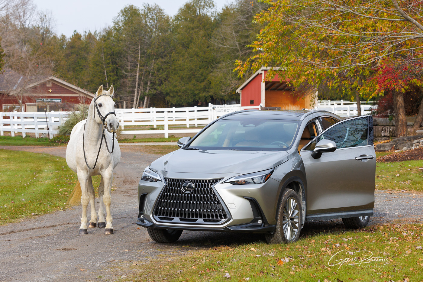 Silver Lexus SUV parked on a rural path with a white horse standing nearby at the TROtt therapeutic riding facility in Ottawa.
