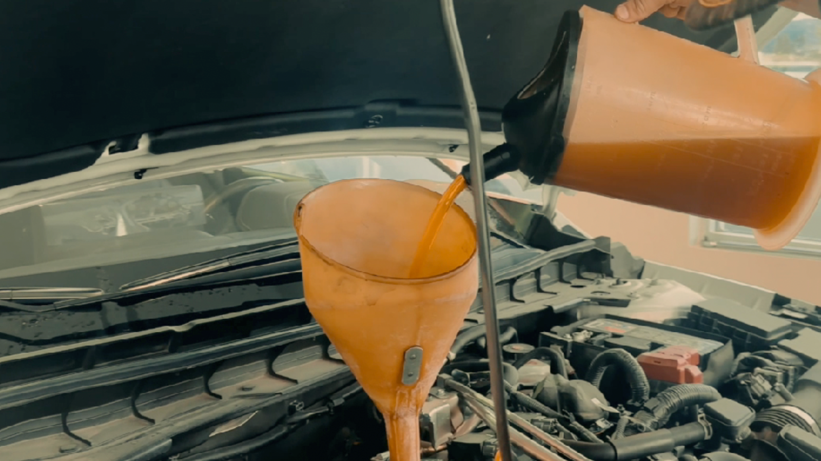 Lifetime No Charge Oil Changes