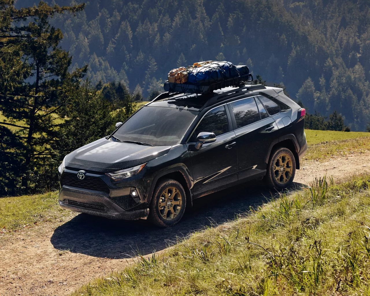 Toyota RAV4 going down hill