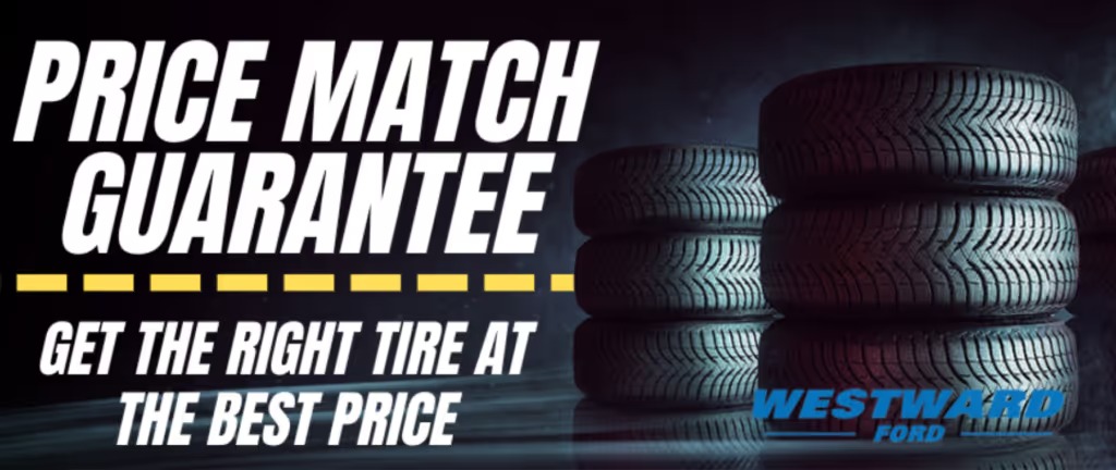 imgi_1_New-Projecrererrt-1024x432