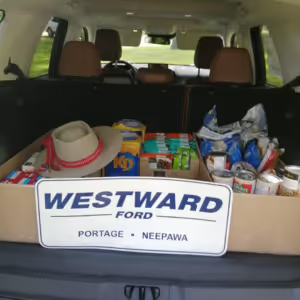 imgi_15_New-Profghject-300x300