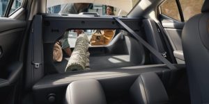 2024 Nissan Sentra in Mississauga, ON