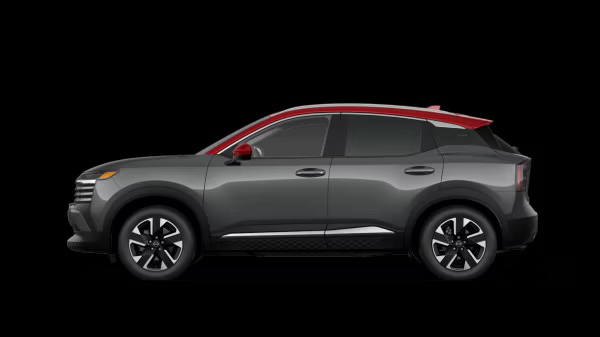 Image of SV premium trim