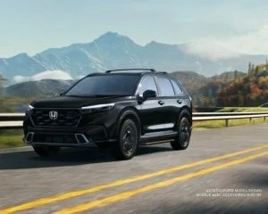 imgi_2_Performance-1-1-300x240