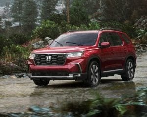 imgi_5_Performance-1-3-300x240