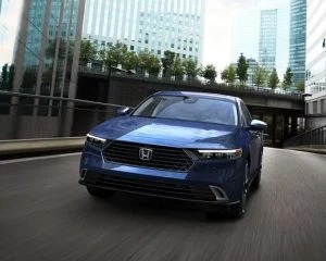 imgi_7_Performance-1-300x240