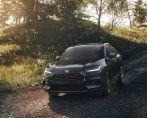 imgi_8_Performance-1-2-300x240