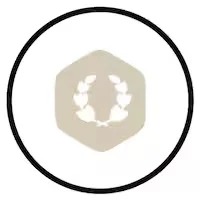 SILVER RECONDITIONING