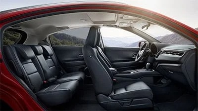 Honda plus | Appearance protection