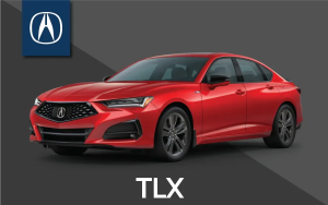 TLX