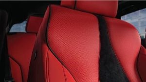 Interior Protection