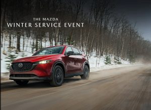 Winter Service Event