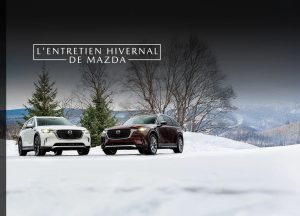 Winter Seasonal Event