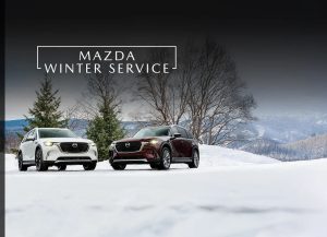 Winter Seasonal Event