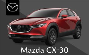CX-30 ACCESSORY SHEET